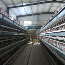 藁城區兵?；\具加工廠 供應產品