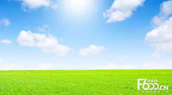 睿容空氣凈化器加盟指南 加盟費(fèi)、官網(wǎng)、條件流程及政策支持解析